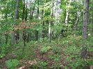 IMG_1347.jpg