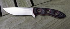 BWcarbon2.jpg