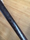 WalkingStick-2.jpg