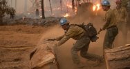 Moving-logs-on-the-dozer-line-photo-USFS.jpg