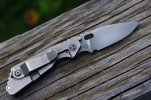 BM Ritters Strider PT 022.JPG
