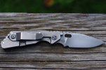 BM Ritters Strider PT 021.JPG