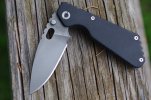 BM Ritters Strider PT 027.JPG