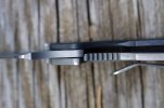 BM Ritters Strider PT 020.JPG