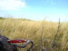 IMG_20180808_165244.jpg