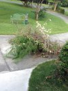 IMG_1855.JPG IMG_1855.JPG