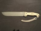 Busse NMFBM A.jpg