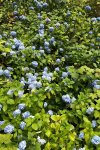 D753F2FB-23D7-4AB1-A6B5-F389D1675118.jpeg