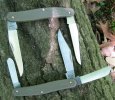 calpair.allopen.outdoor.jpg