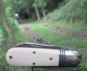 Unicorn Ivory 25 1-8.JPG
