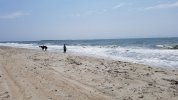 20180815_115937.jpg
