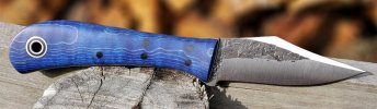 Blue Curly Maple Lonestar sm.jpg