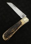 AW Small Sambar LF (2) 6-9.JPG