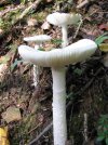 IMG_1441.jpg