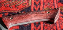 IMG_1787.jpg