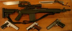M1A.jpg