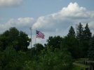 my picture 025.jpg