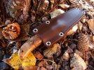 Bush Craft Photos 026.jpg