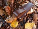 Bush Craft Photos 028.jpg