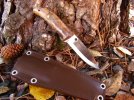 Bush Craft Photos 024.jpg