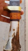 20180806_101945.jpg