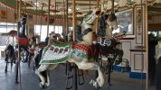 Coney Island Carousel_1.jpg
