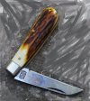 Sambar unicorn ebony_3 chopped.jpg