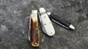 Sambar unicorn ebony_1.jpg