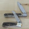 Wright's stag LF & TI Violon.JPG