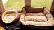 CATBED-1A.JPG