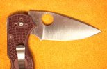 Spy Native 5 2015 Forum S90Va.jpg Spy Native 5 2015 Forum S90Va.jpg