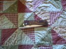 DSCN3185.JPG