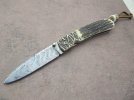 stag spear 021.JPG