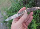 stag spear 038.JPG stag spear 038.JPG