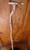electrician.cane.fulllength.jpg