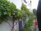 jardin.jpg