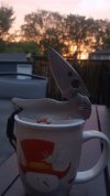 20180831_064941-2241x3984.jpg