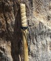 Walking stick.jpg