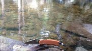 IMG_20180902_140046~2.jpg