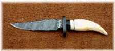 bear tooth.jpg
