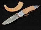 Walrus scorpion 001.jpg
