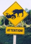 moose-warning-large.jpg