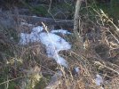 100_2357.jpg