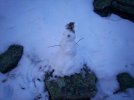 100_2384.jpg