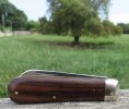 AW Rosewood LF 1-2.JPG