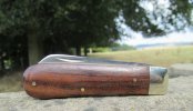 AW Rosewood LF 1-5.JPG