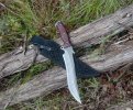 silent knight blk frt 1.jpg