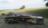 AC Lambsfoot 6-4.JPG