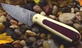 329779F1-1DC3-478A-92D0-EDC2D11E6AB3.jpeg 329779F1-1DC3-478A-92D0-EDC2D11E6AB3.jpeg