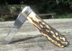 AC Lambsfoot 5-4.JPG